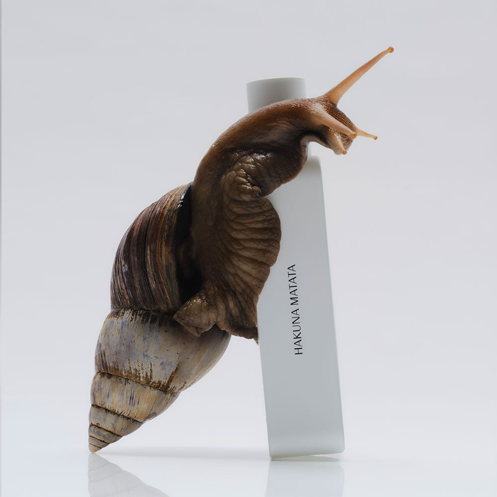 27 87 Hakuna Matata – Eau de Parfum – 27ml von Rodrigo Flores-Roux in der Duftnote Fruchtig, Harzig