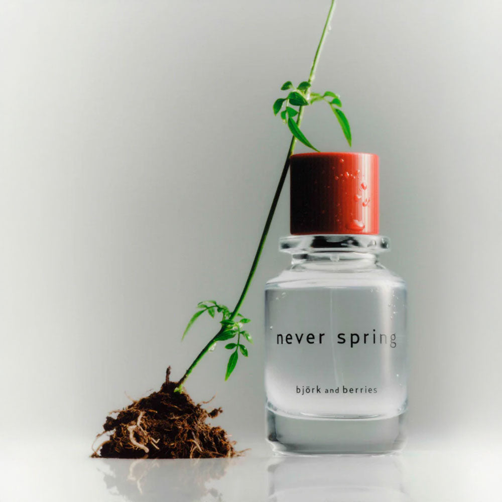 björk and berries Never Spring – Eau de Parfum – 50ml in der Duftnote Fruity, Citrus