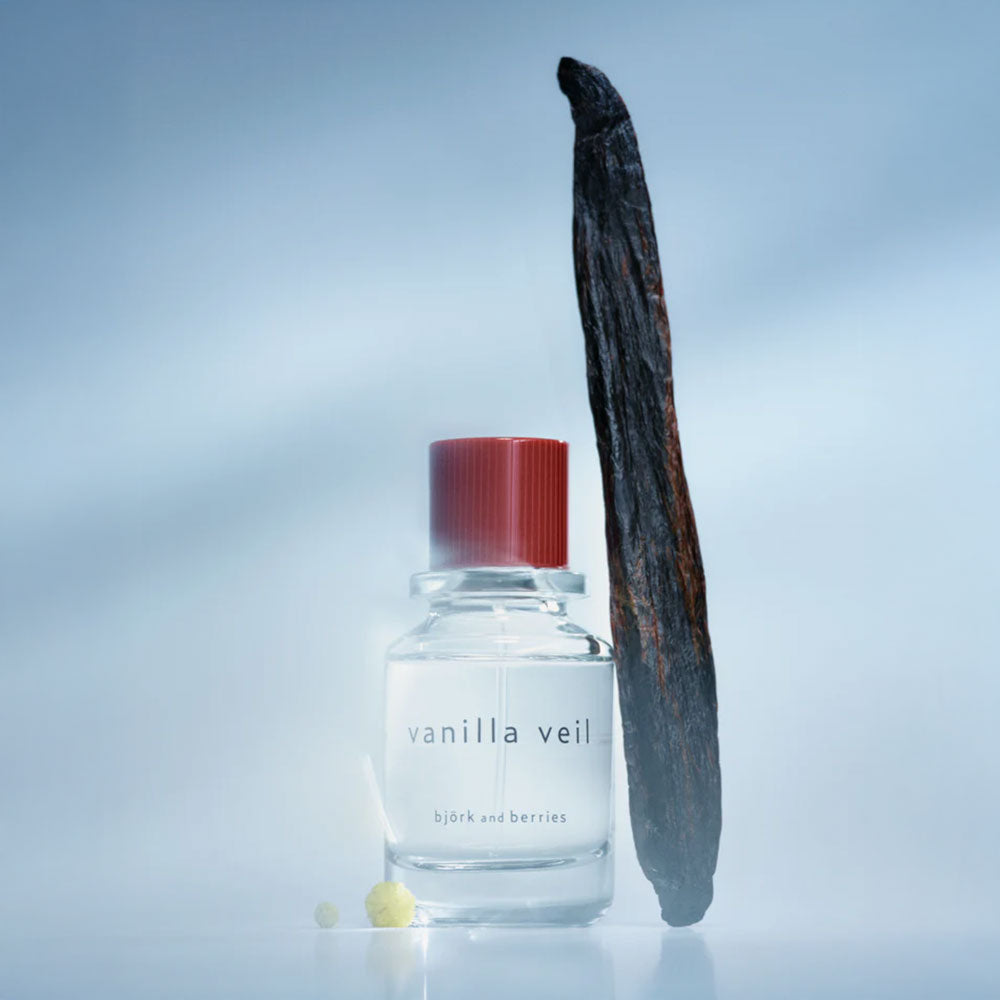 björk and berries Vanilla Veil – Eau de Parfum – 50ml in der Duftnote Creamy, Gourmand