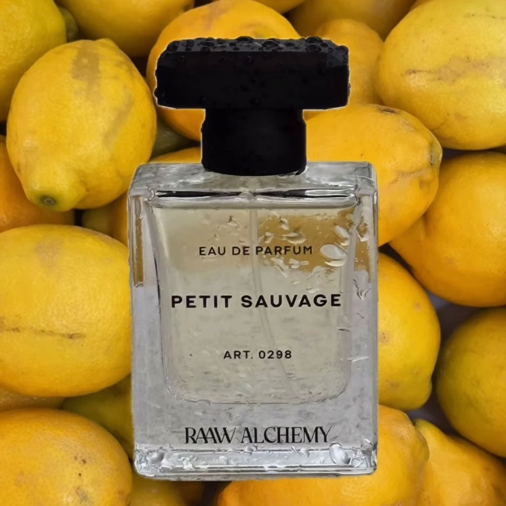 RAAW Alchemy Petit Sauvage – Eau de Parfum – 50ml von Trice Angie Christiansen in der Duftnote Clean, Würzig, Holzig