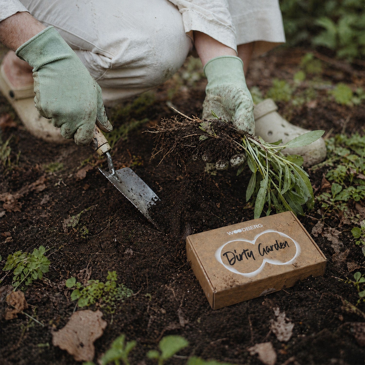 Woodberg Dirty Garden – Fragrance Box