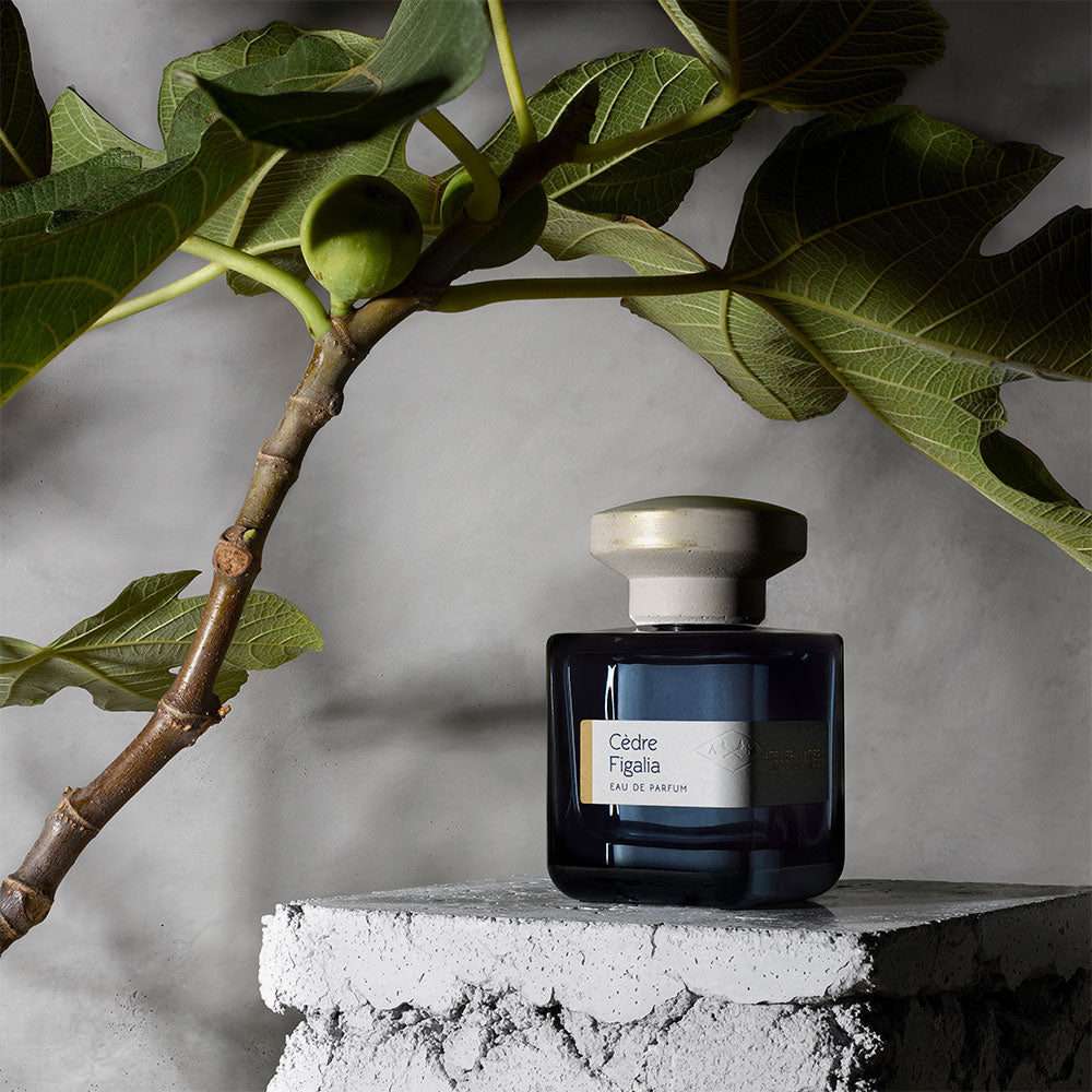 Atelier Materi Cèdre Figalia – Eau de Parfum – 100ml von Céline Perdriel in der Duftnote Green