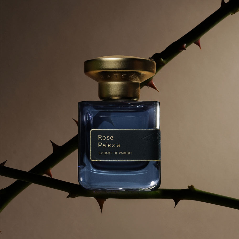 Rose Palezia – Extrait de Parfum – 50ml