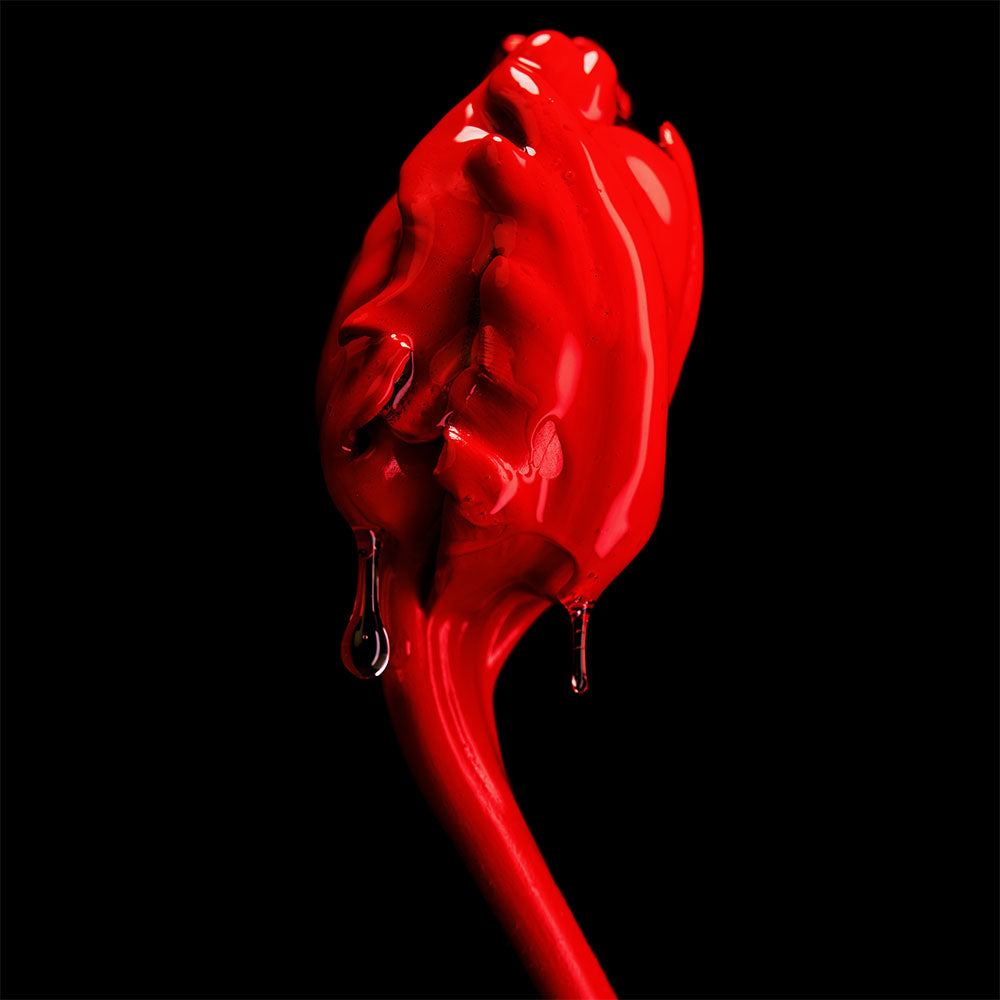 Rose of No Man’s Land – Absolu de Parfum – Sample