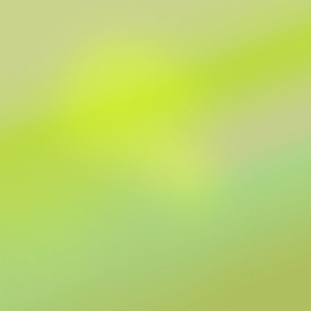 05 "Spring" – Eau de Parfum – 50ml