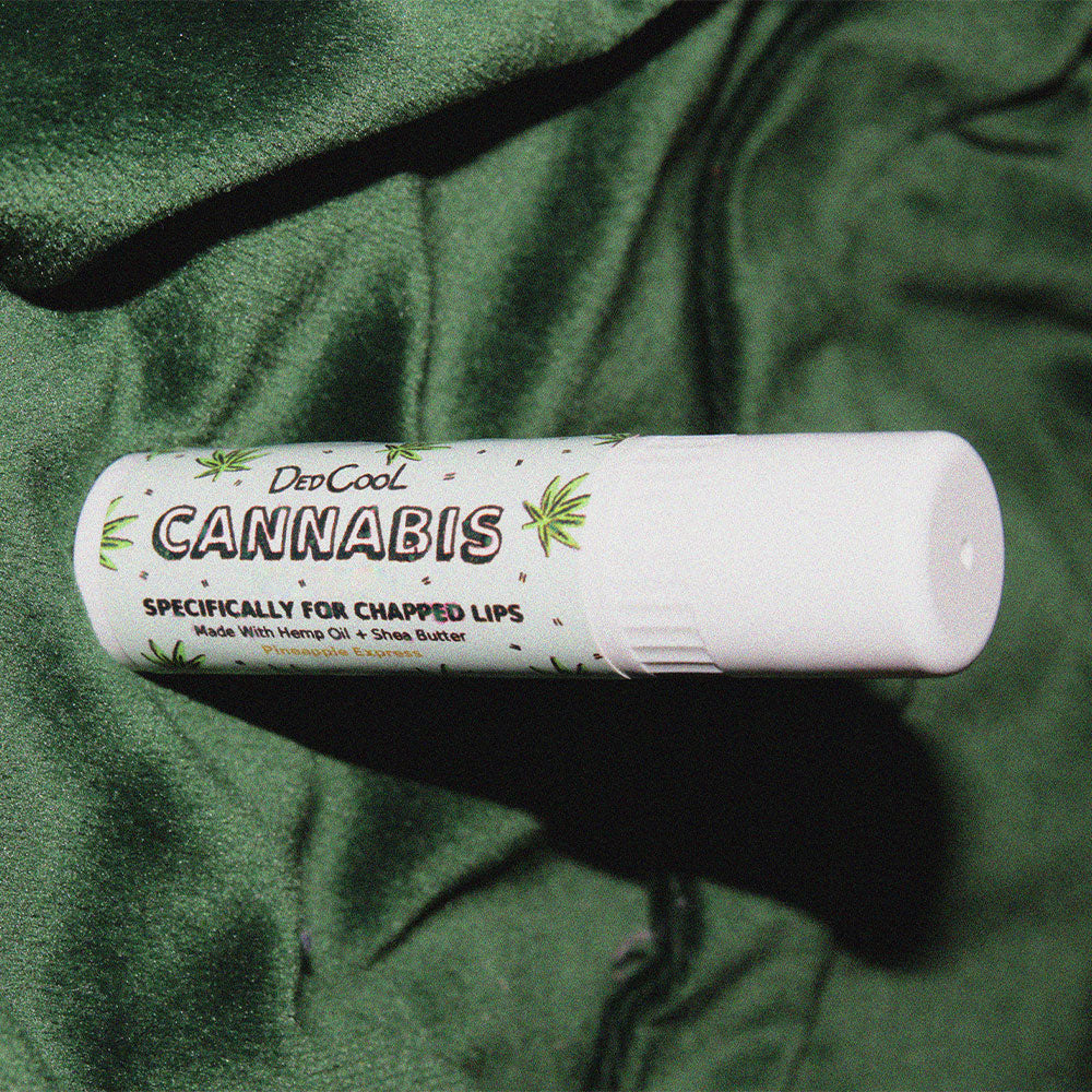 DedCool Cannabis Balm Stick von Carina Chaz