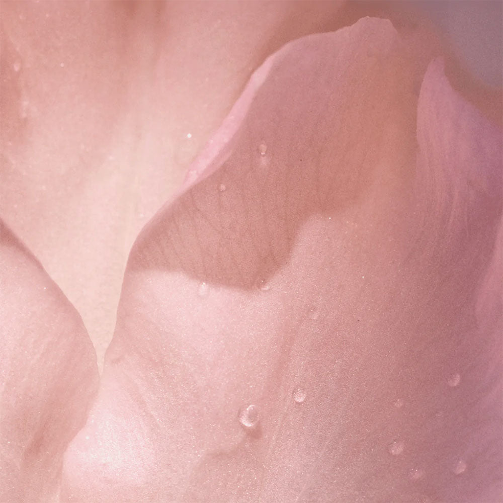 Coco Rose Deodorant