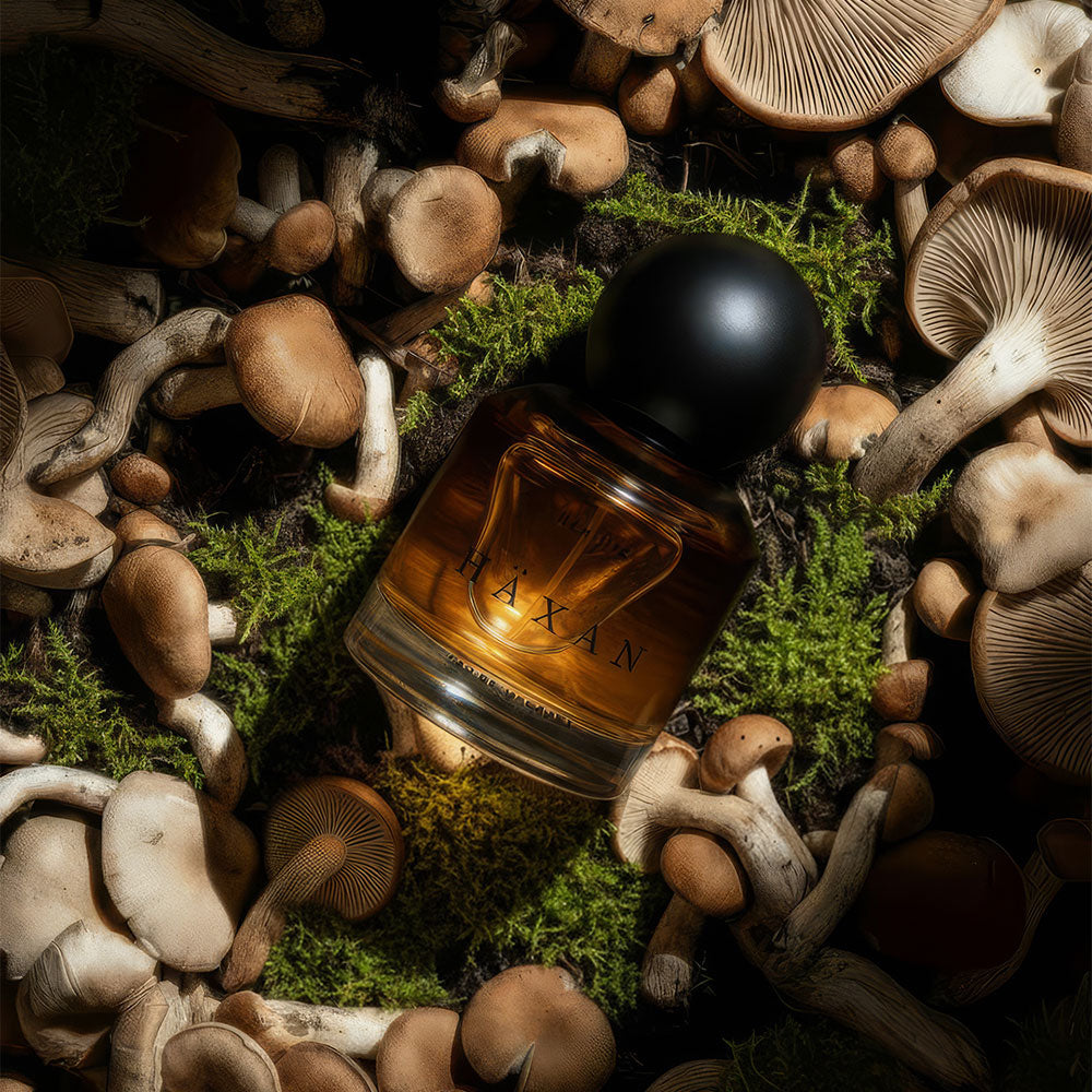 Heretic Parfum Häxan – Eau de Parfum – 30ml von Douglas Little in der Duftnote Harzig, Würzig, Holzig-Grün