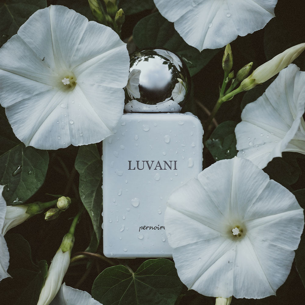 Luvani – Extrait de Parfum – Sample