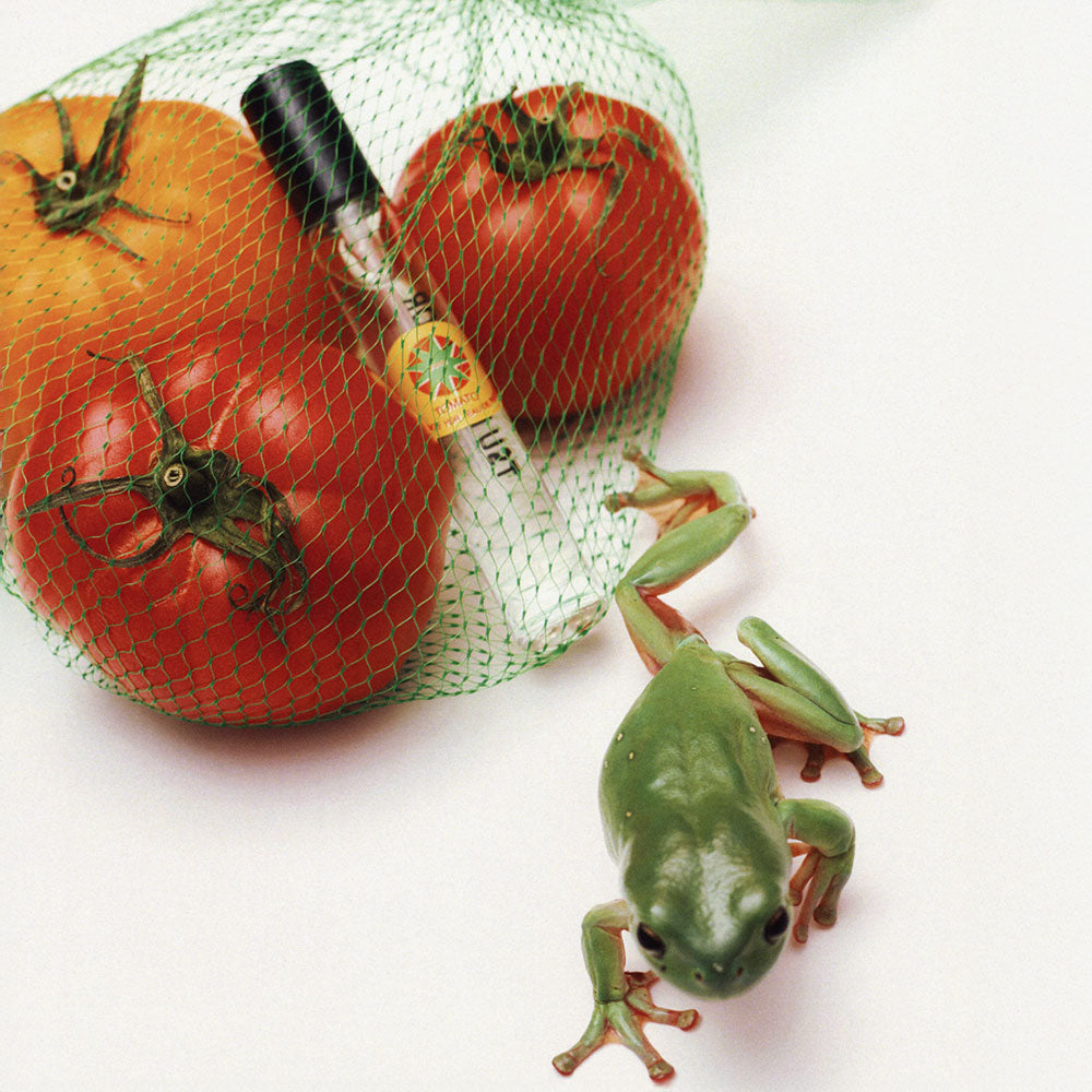 The Garden Set – Eau de Parfum
